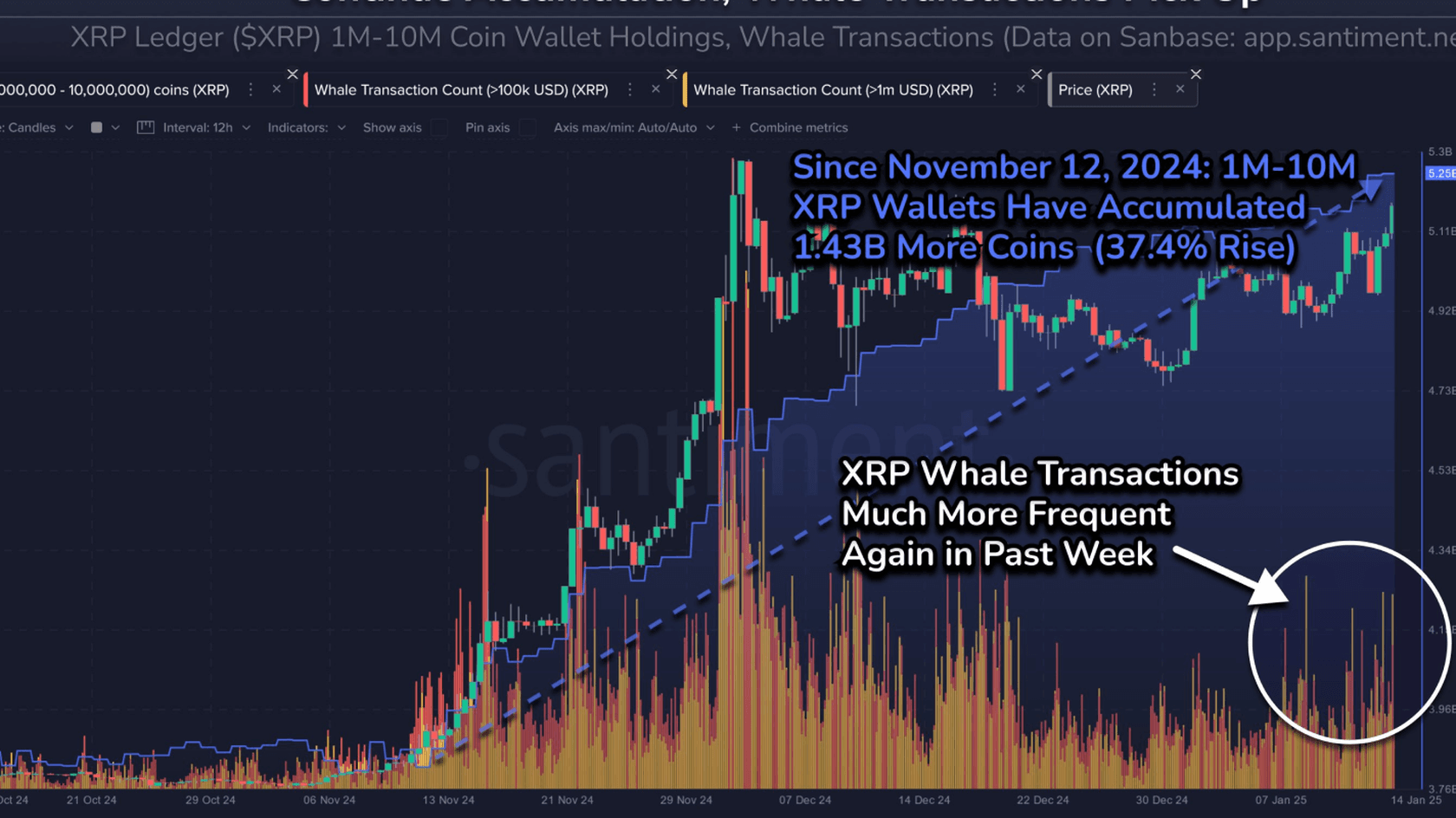 Ripple (XRP) Rebounds to 4-Week High. Source: Santiment