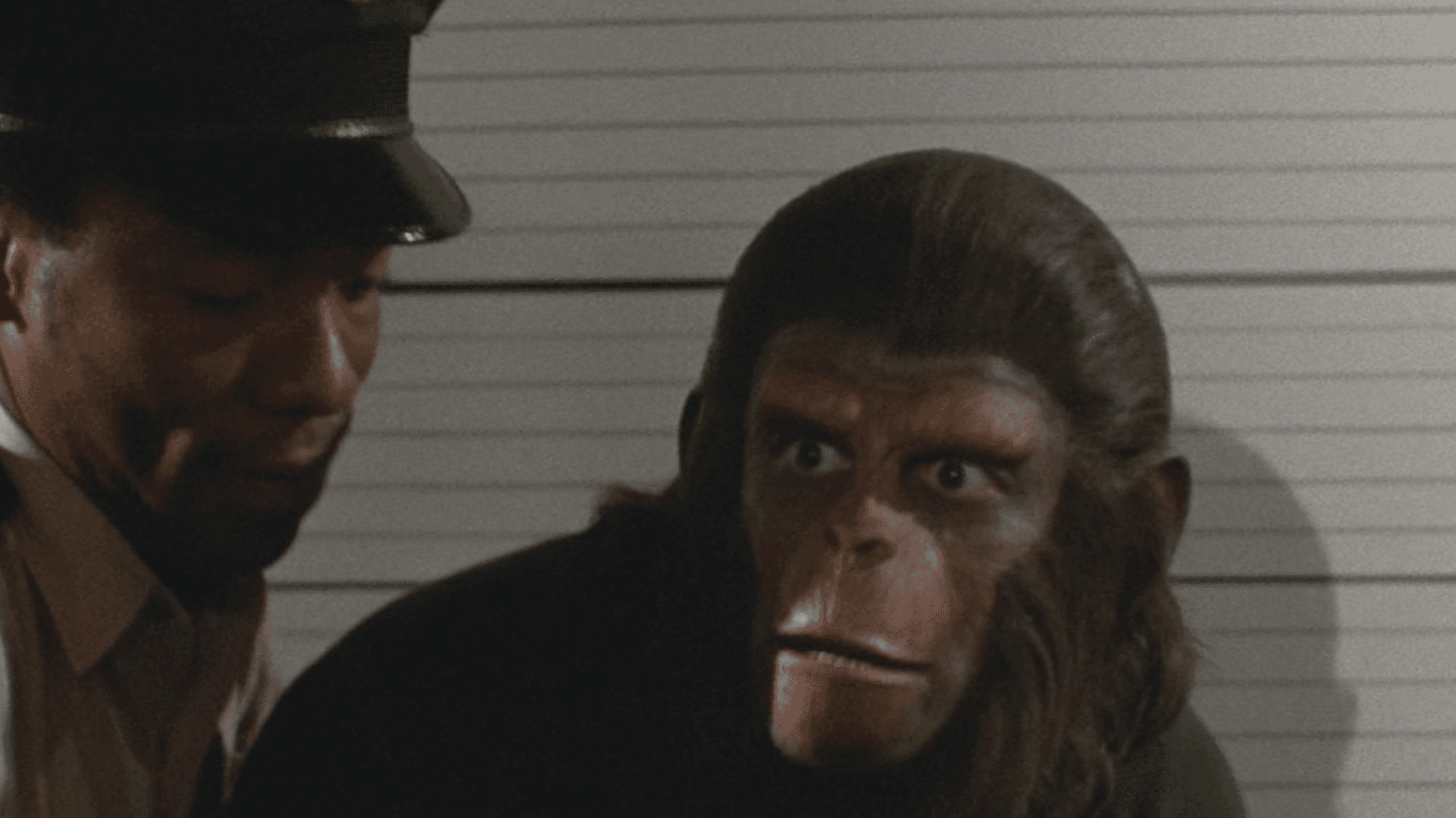 An American court has sentenced Aurelien Michel, the developer behind Mutant Ape Planet, a copycat project of the famous Mutant Ape Yacht Club collection.
