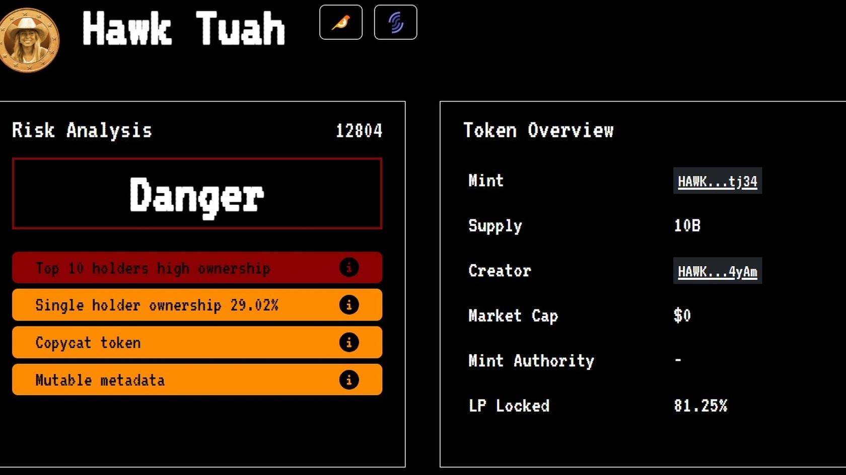 HAWK TUAH Rugpull Analysis. Source: RugCheck