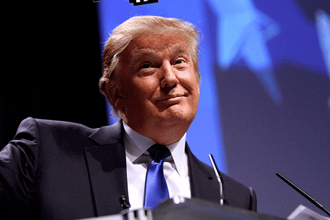 Trump's "self-regulation"
